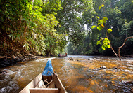 Malasia Viajes | Taman Negara Malasia Viajes | Taman Negara