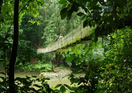 Malasia Viajes - Borneo - Sabah - Danum Valley 02.JPG Malasia Viajes - Borneo - Sabah - Danum Valley 02.JPG