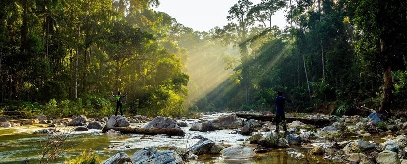 Malasia Viajes - Taman Negara - Trekking.jpg
