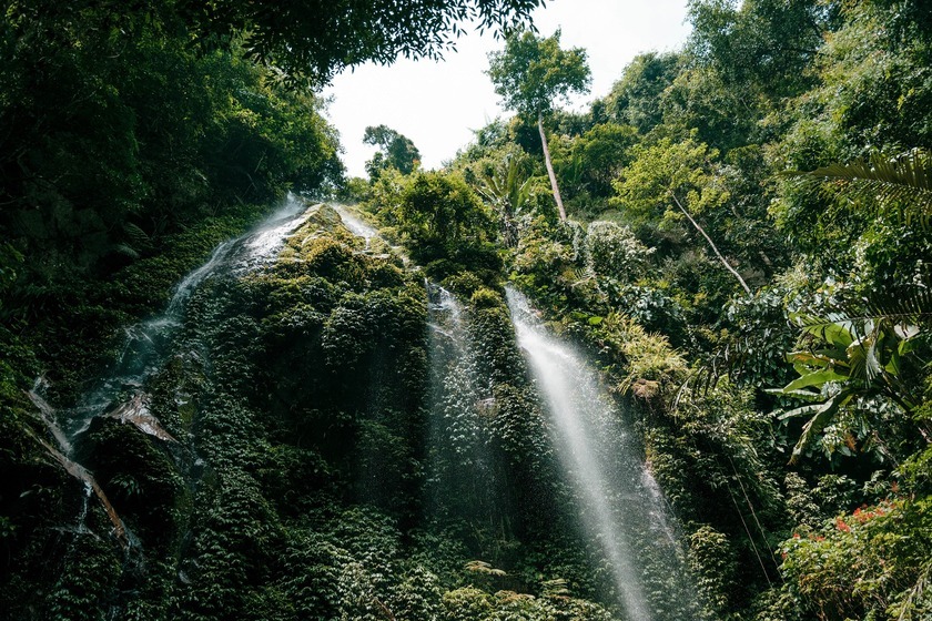 belum-rainforest-cascadajpg.jpg belum-rainforest-cascadajpg.jpg