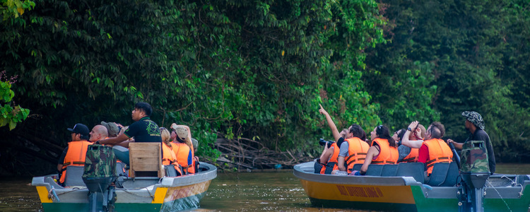 kinabatangan-borneo.jpg kinabatangan-borneo.jpg