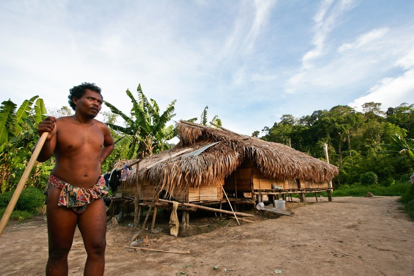 belum-rainforest-orang-aslijpg.jpg belum-rainforest-orang-aslijpg.jpg