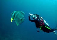Malasia Viajes - Borneo - Buceo.jpg Malasia Viajes - Borneo - Buceo.jpg