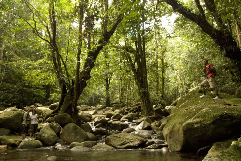 taman-negara-trekking.jpg taman-negara-trekking.jpg
