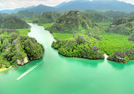 Malasia Viajes | Manglares, Langkawi Manglares de Langkawi