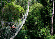 Malasia Viajes | Taman Negara Malasia Viajes | Taman Negara