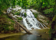 Malasia Viajes | Cascada, Belum Rainforest Cascada en el Royal Belum Rainforest