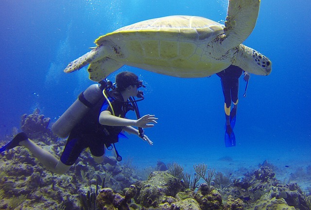 lang-tengah-buceo.jpg lang-tengah-buceo.jpg