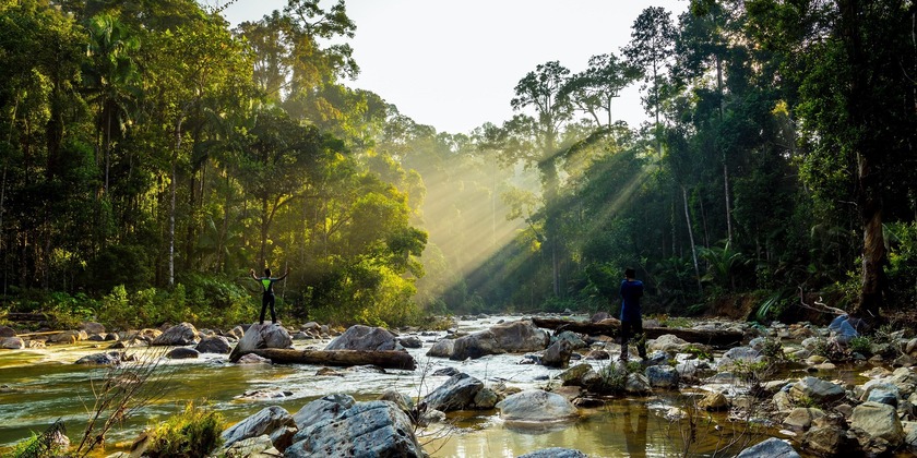 taman-negara-senderismo-min.jpg taman-negara-senderismo-min.jpg