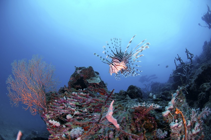 LANGKAYAN ISLAND 14_1.jpg LANGKAYAN ISLAND 14_1.jpg